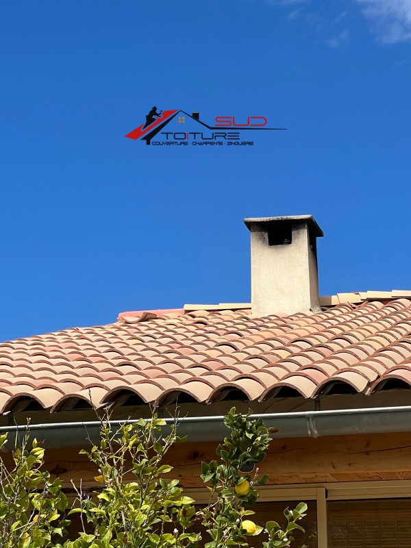 Risque de désolidarisation des tuiles : Causes, conséquences et solutions