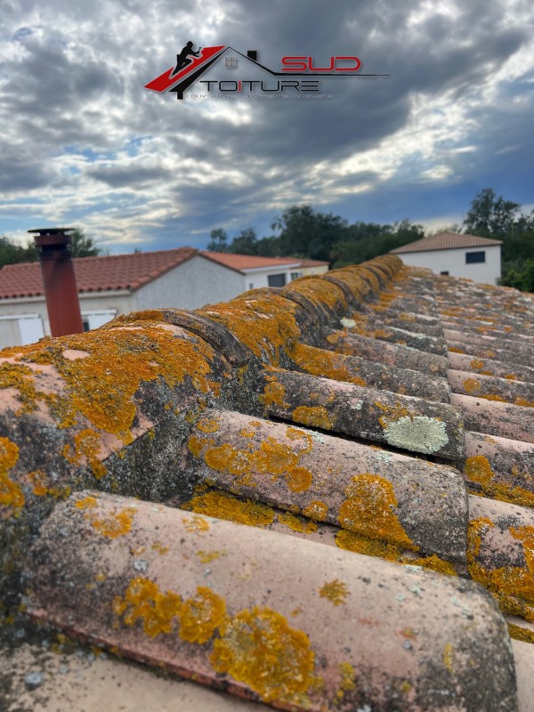 Pourquoi est-il important de faire entretenir sa toiture ?