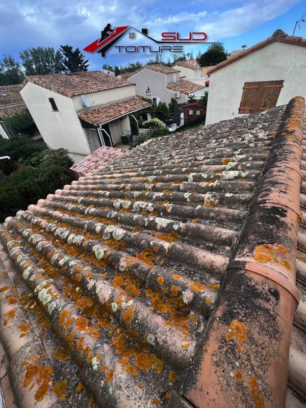 Pourquoi est-il important de faire entretenir sa toiture ?