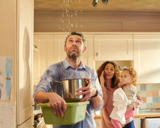 Intervention d'urgence pour fuite de toiture dans les Pyrénées-Orientales 0430220162