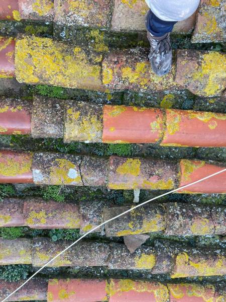 Pose de toiture à Saint-Estève : Transformez votre maison avec Sud Toiture