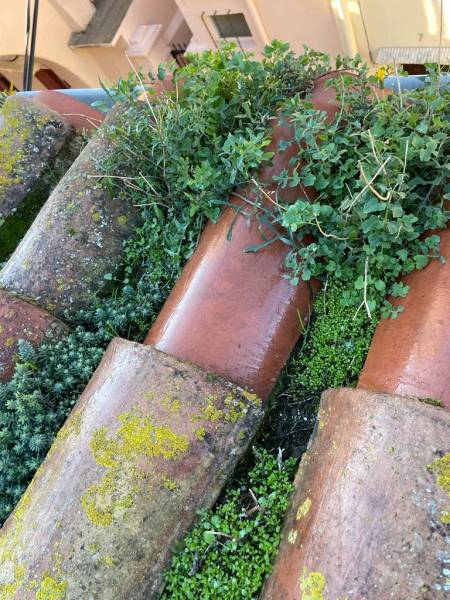 Pose de toiture à Saint-Estève : Transformez votre maison avec Sud Toiture