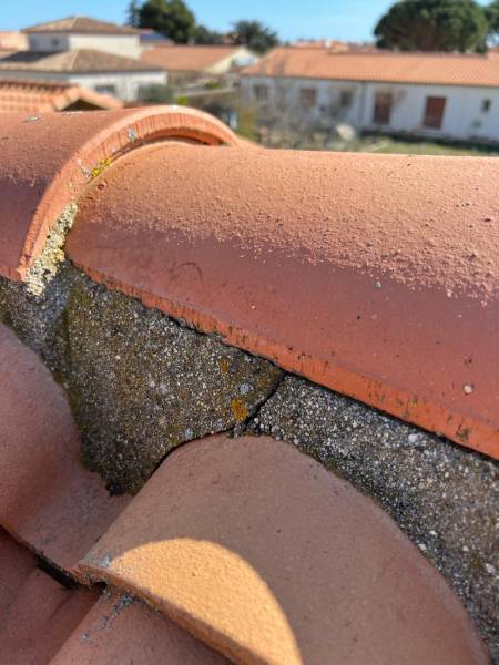 Réparation de toiture à Canet-en-Roussillon : Confiez votre toit à des experts qualifiés