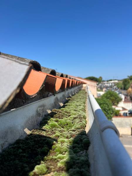 nettoyage gouttières perpignan