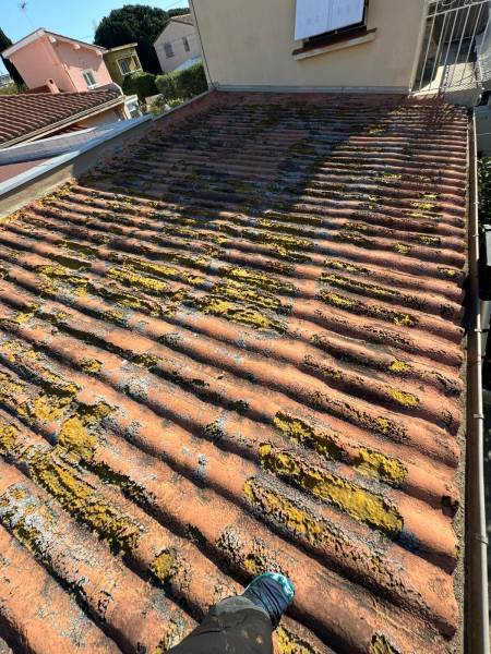 Avant rénovation : toiture ancienne et mousses envahissantes à Sainte-Marie-la-Mer