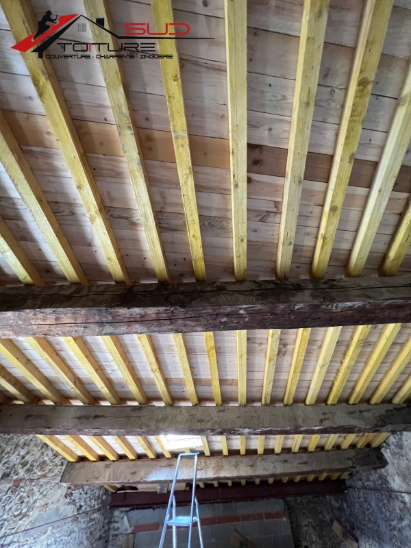 Rénovation de charpente à Canet en Roussillon : Traitement et remplacement des éléments