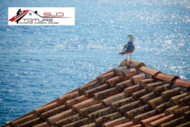 Couvreur à Saint-Cyprien (66750) effectuant la réparation d’une toiture en tuiles après intempéries
